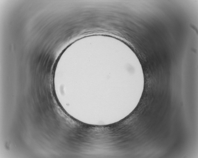 X0000102391518200808291412