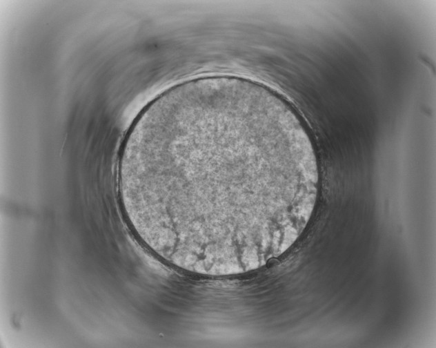 X0000102391519200808291412