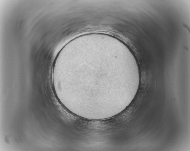 X0000102391520200808291412