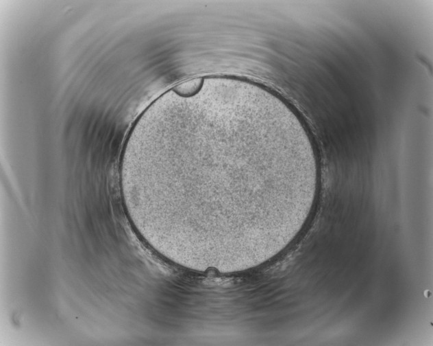 X0000102391521200808291412