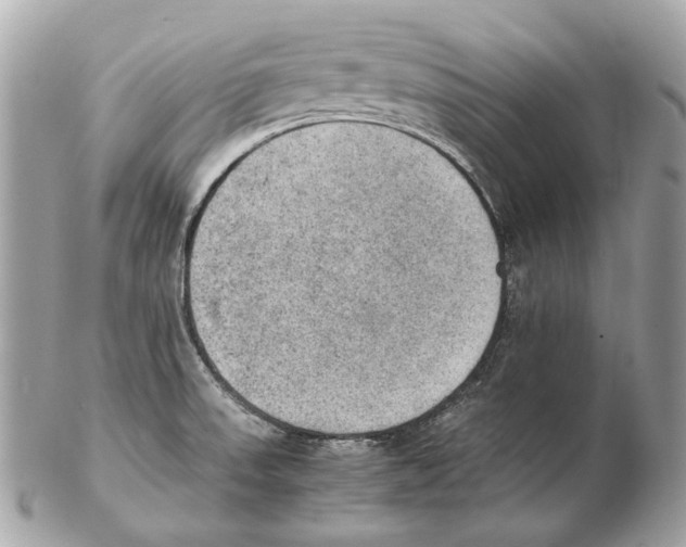 X0000102391523200808291412
