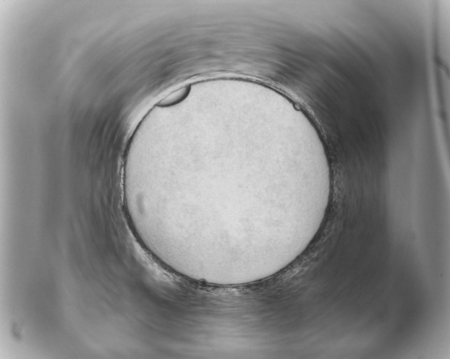 X0000102391524200808291412