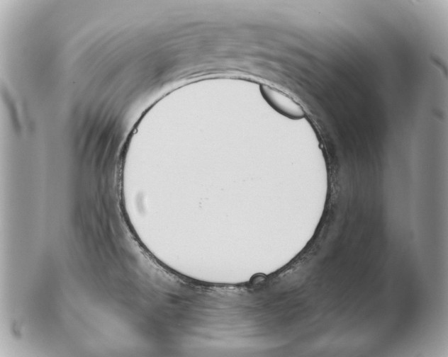 X0000102391526200808291412
