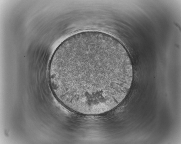 X0000102391527200808291412