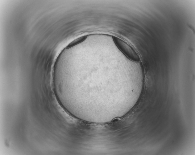 X0000102391528200808291412
