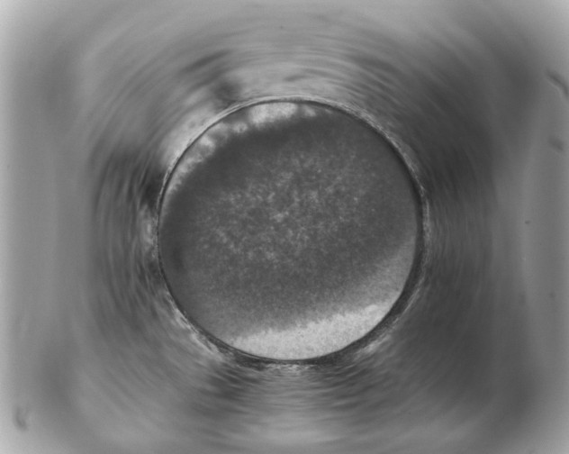 X0000102391529200808291412