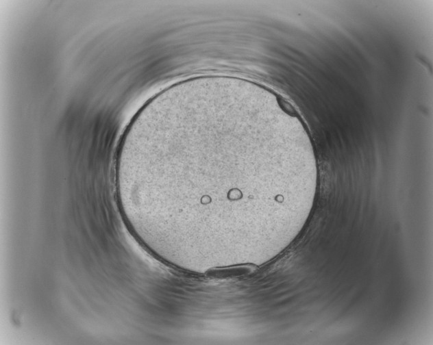 X0000102391531200808291412