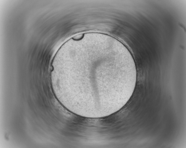 X0000102391532200808291412