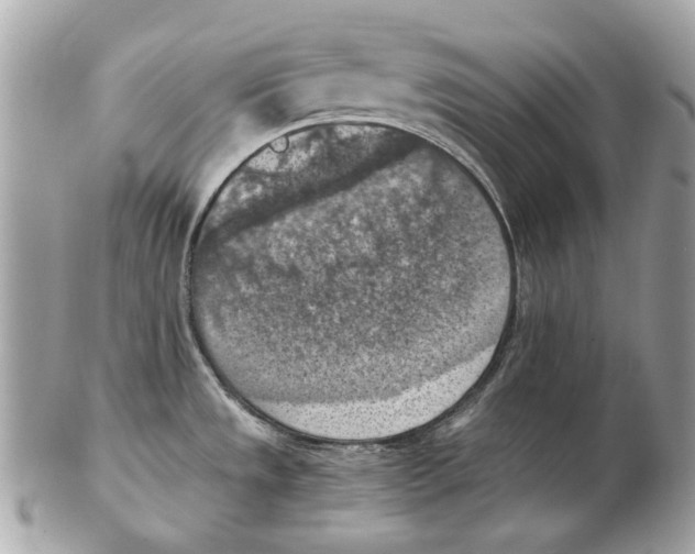 X0000102391533200808291412