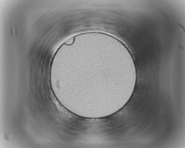 X0000102391534200808291412