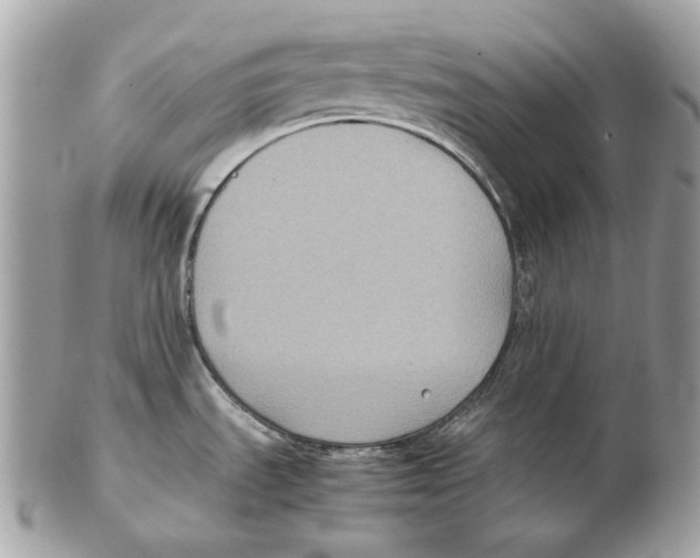 X0000102391535200808291412