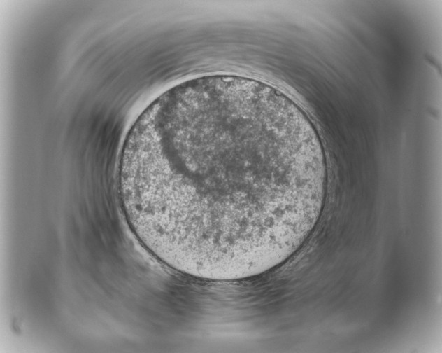 X0000102391536200808291412