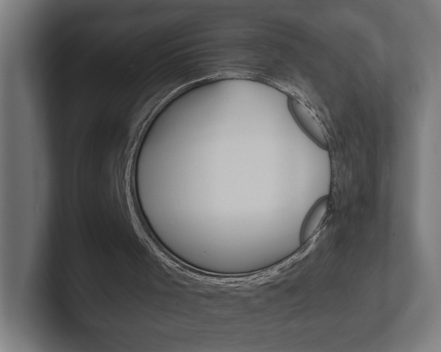 X0000102400001200808011005