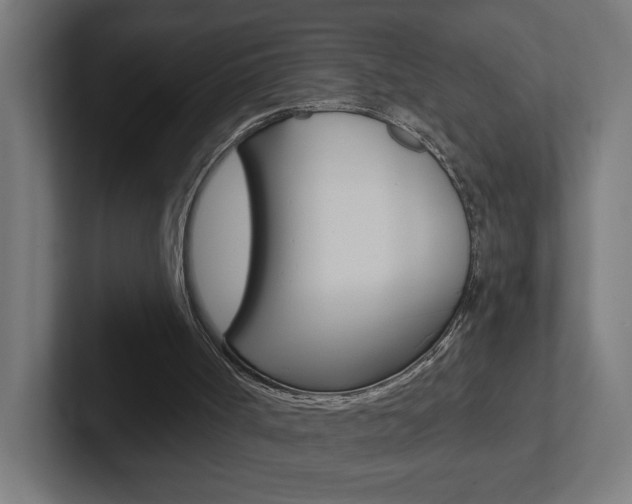 X0000102400002200808011005