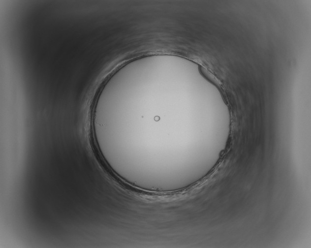 X0000102400005200808011005