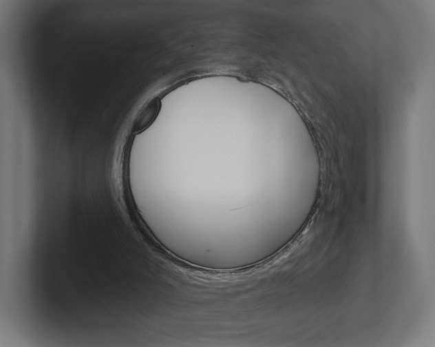 X0000102400006200808011005