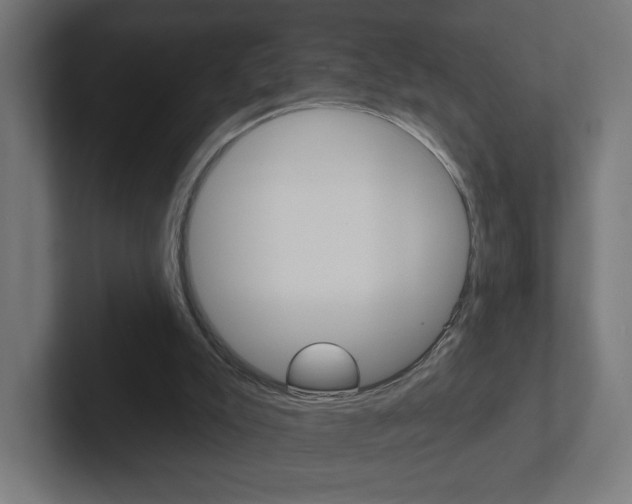 X0000102400007200808011005