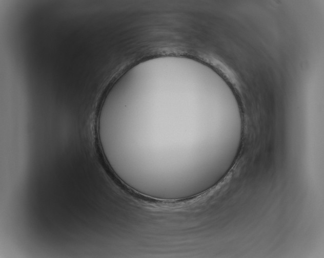 X0000102400009200808011005