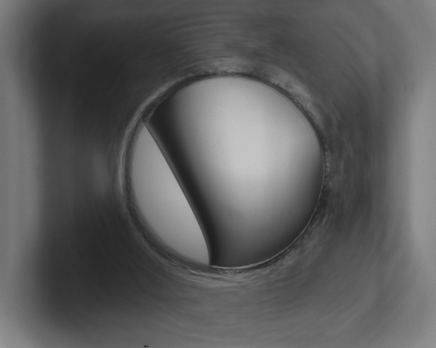 X0000102400012200808011005