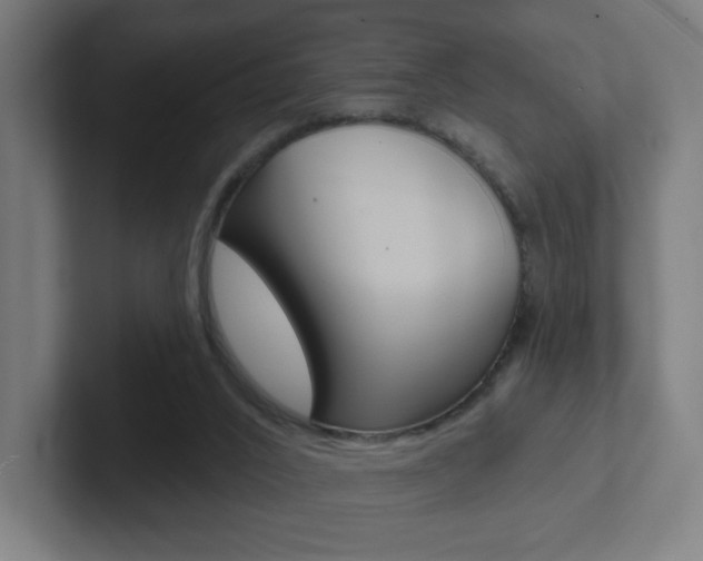 X0000102400016200808011005