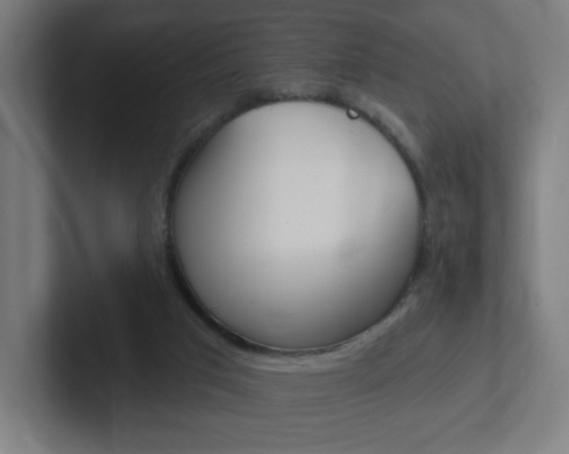 X0000102400017200808011005