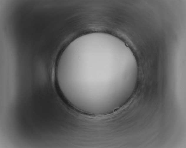 X0000102400019200808011005