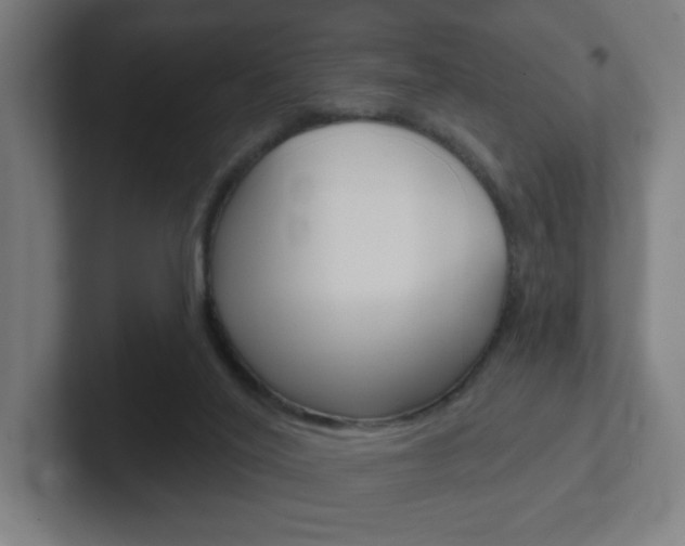 X0000102400020200808011005