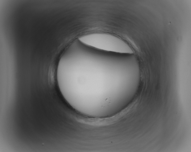 X0000102400023200808011005