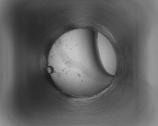 X0000102400025200808011005