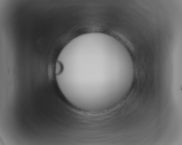 X0000102400026200808011005