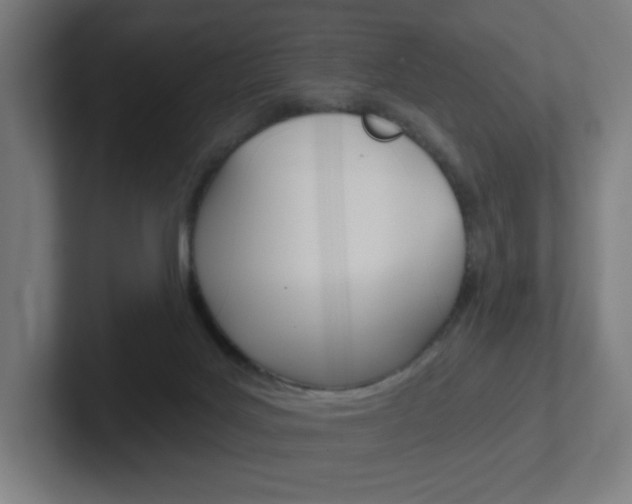 X0000102400027200808011005