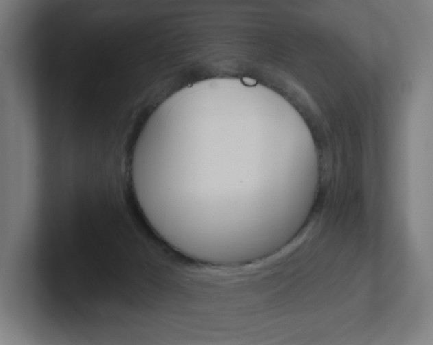 X0000102400029200808011005