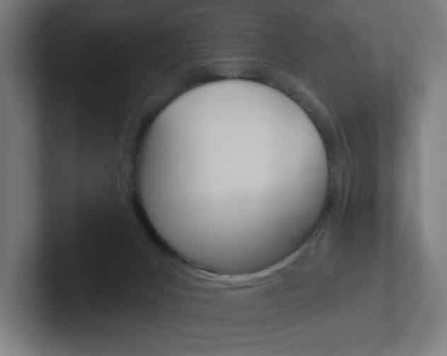 X0000102400031200808011005