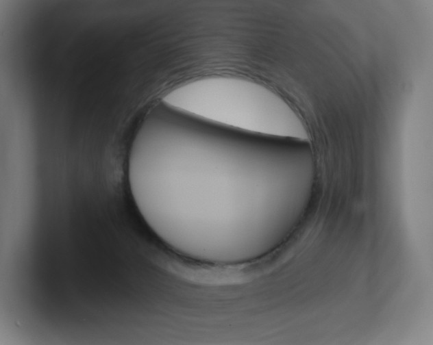 X0000102400032200808011005