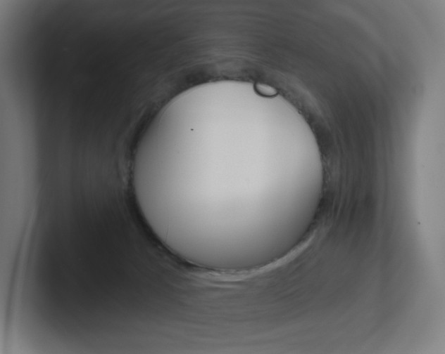 X0000102400033200808011005