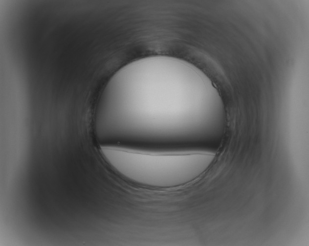 X0000102400036200808011005