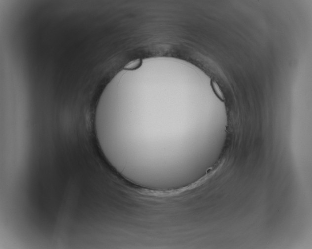 X0000102400037200808011005