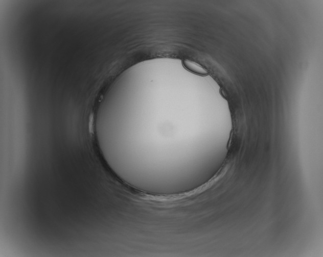 X0000102400041200808011005