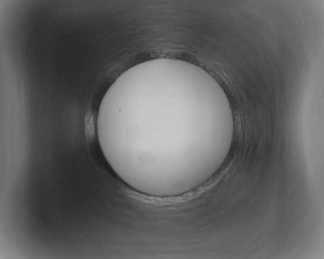 X0000102400042200808011005