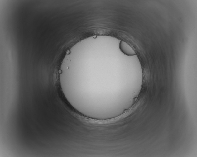 X0000102400043200808011004