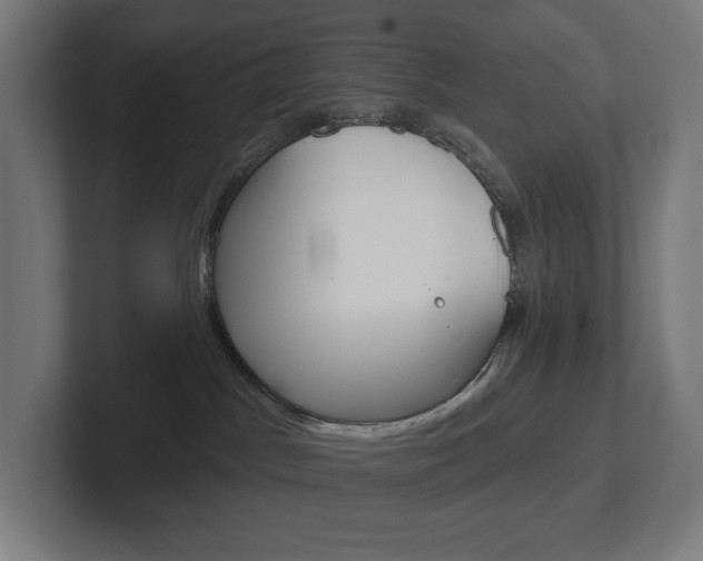 X0000102400045200808011004