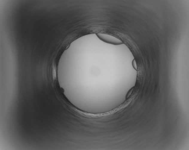 X0000102400046200808011004