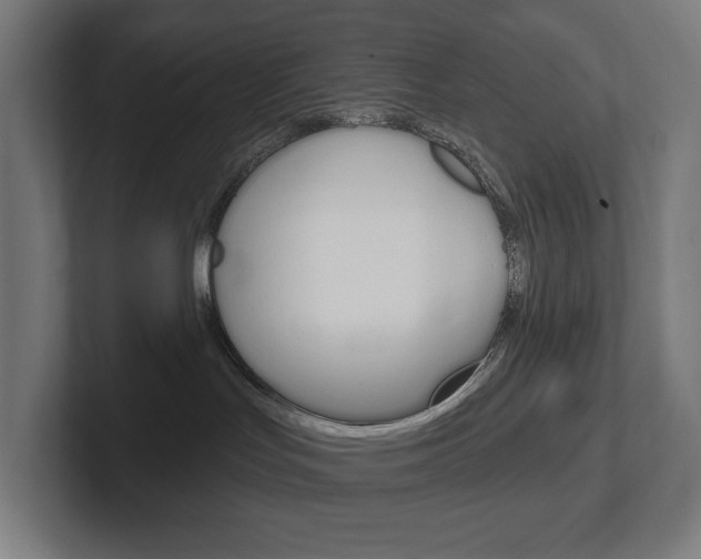 X0000102400047200808011004