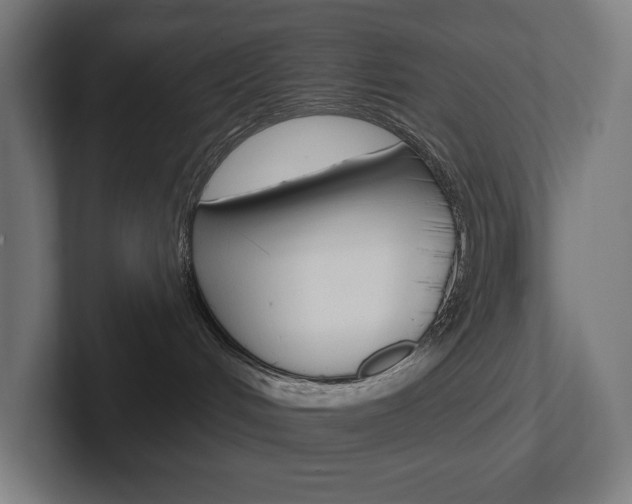 X0000102400048200808011004