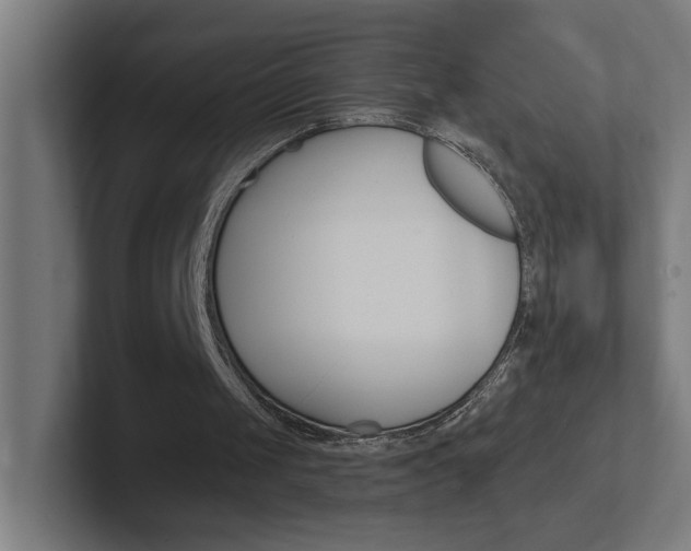 X0000102400049200808011004