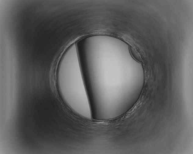 X0000102400050200808011004