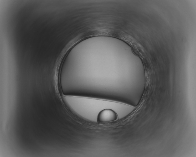 X0000102400051200808011004