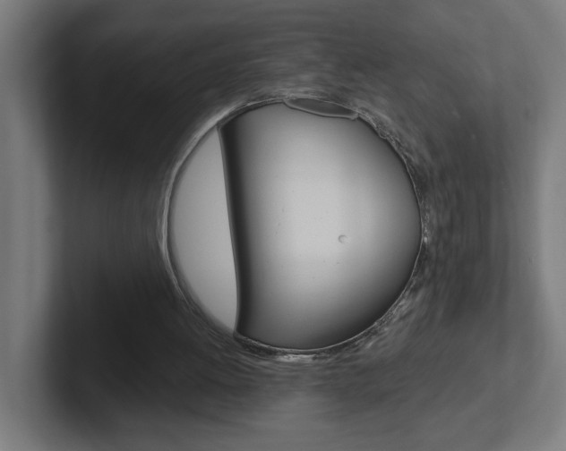 X0000102400052200808011004