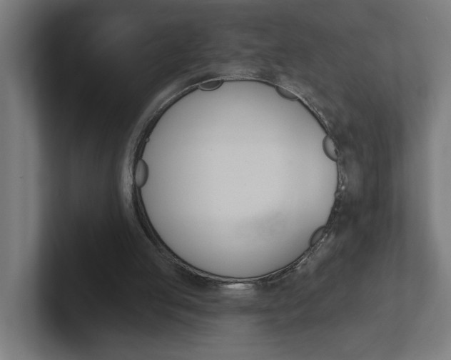 X0000102400053200808011004
