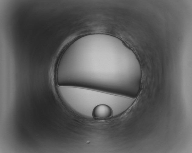 X0000102400054200808011004
